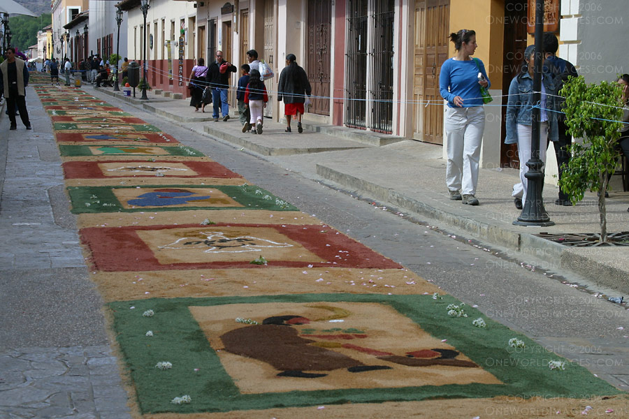 [Photograph: Hidalgo Alfombras]