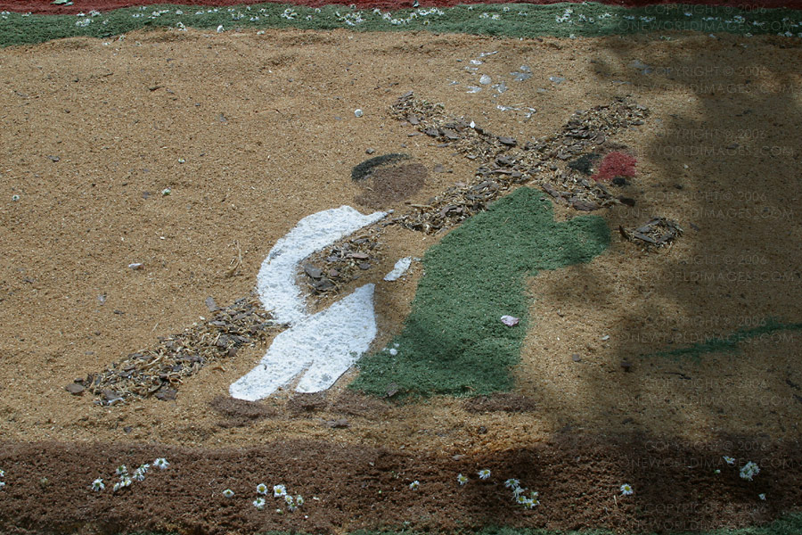 [Photograph: Alfombra Design]