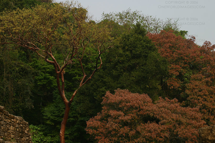 [Photograph: Untitled]
