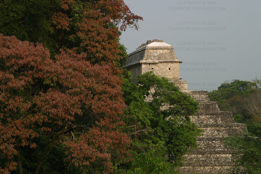 [Photograph: Temple of the Inscriptions]
