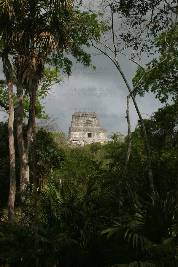[Photograph: Temple IV Through the Trees]
